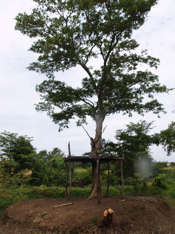 Welimaluwa Resort Sigiriya Kibissa Екстер'єр фото