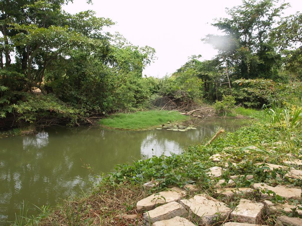 Welimaluwa Resort Sigiriya Kibissa Екстер'єр фото