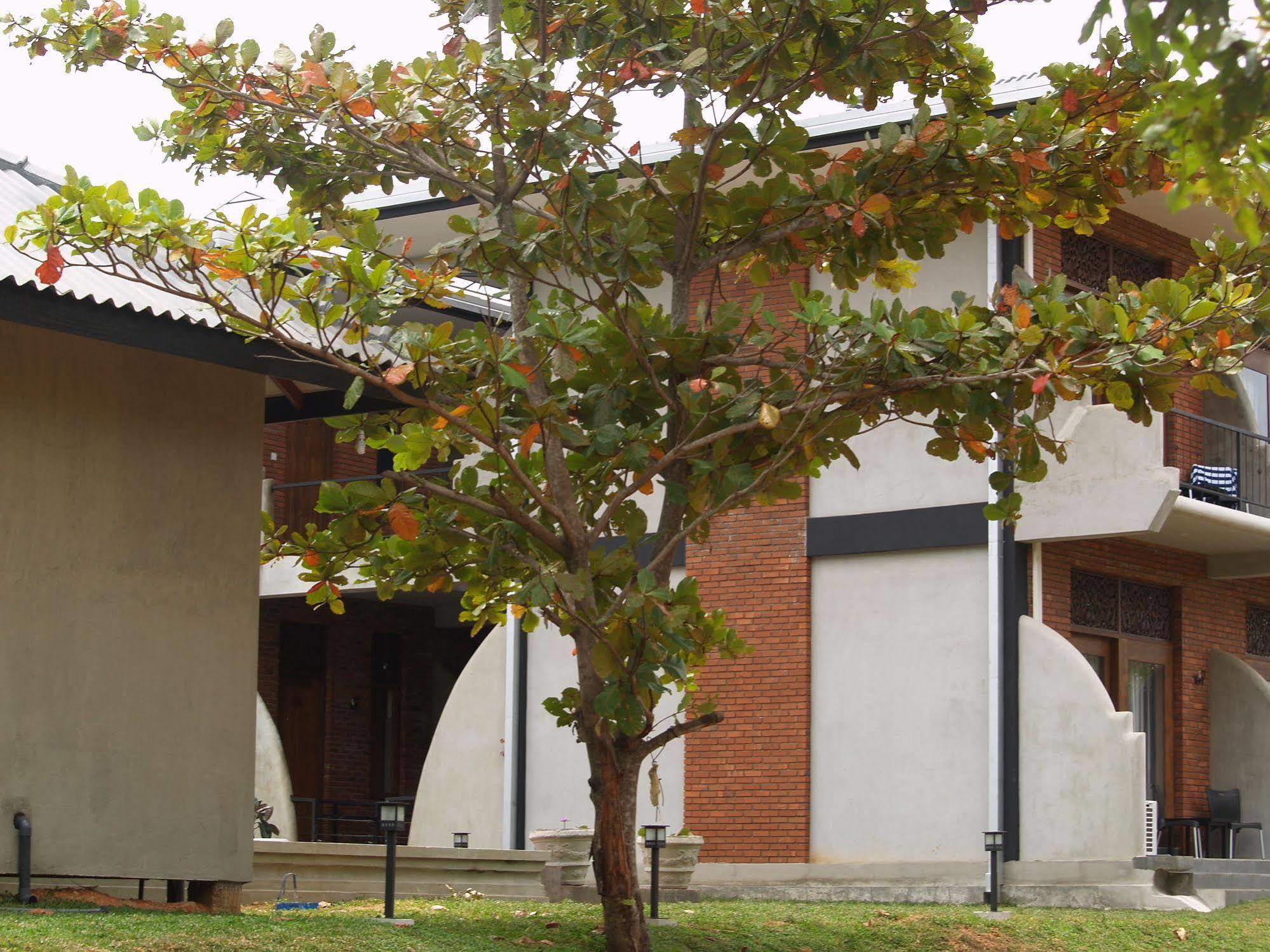 Welimaluwa Resort Sigiriya Kibissa Екстер'єр фото